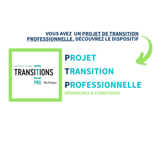 TRANSITIONSPRO